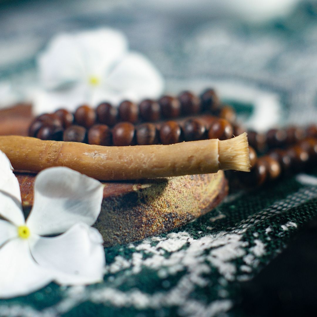 Gélules à la poudre de siwak  Bienfaits nombreux pour les dents