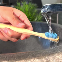 Dentifrice en poudre blancheur menthol et réglisse Adrane utilisation